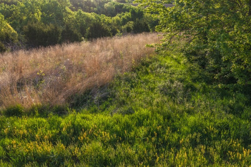 Listing photo 28